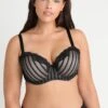 City Chic Fifi Bra - Beugel Bh - Black/Latte -Dames Kledings Winkel a3a97051c8934e4691bda6e49d793157