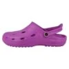 Dux Duflex Unisex - Clogs - Violett Brombeer 1 Dux Duflex Unisex - Clogs - Violett Brombeer -Dames Kledings Winkel cd8b8516727e4e9ebe13e6298f285ef4